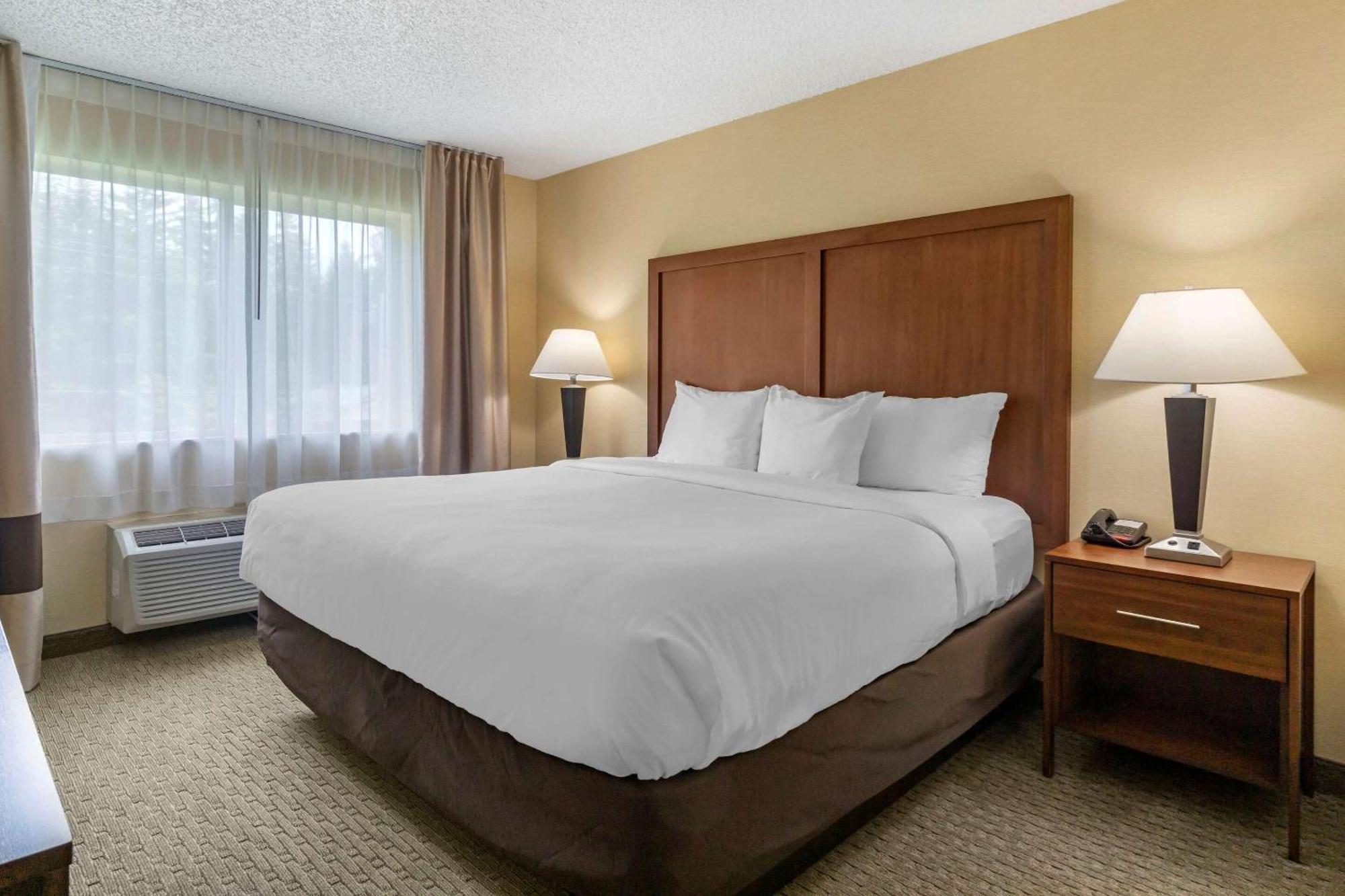 Comfort Inn & Suites Bothell - Seattle North Værelse billede